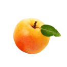 Abricot