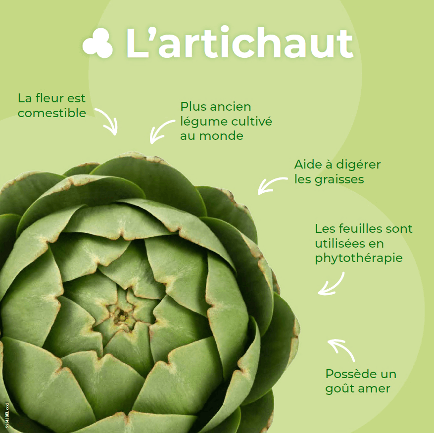 L'artichaut L'artichaut