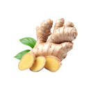 Gingembre