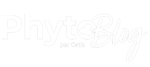 Blog Phyto Ortis