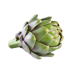 artichaut