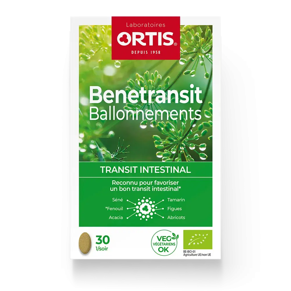 Benetransit Ballonnements
