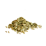 Fenouil