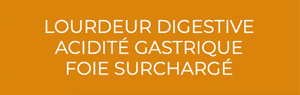 Smartphone Portail Digestion