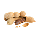 Tamarin